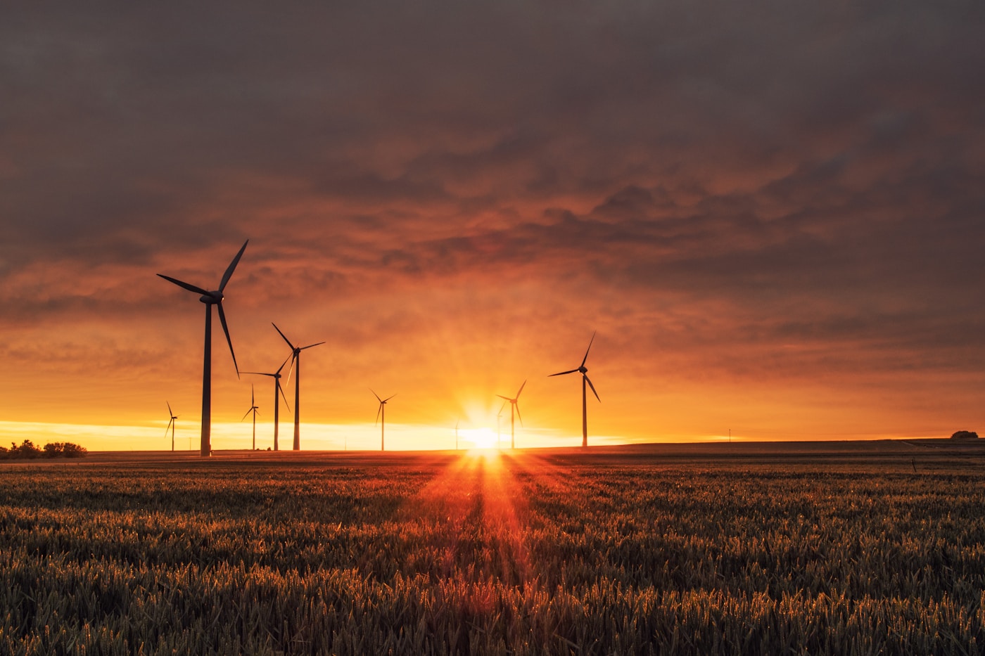 Sustainability team reviewing environmental data near wind turbines